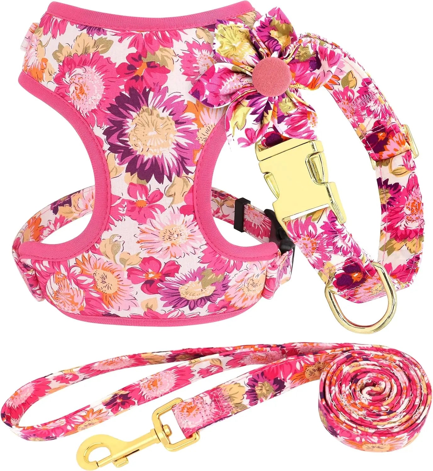 Cute Harness & Leash Set