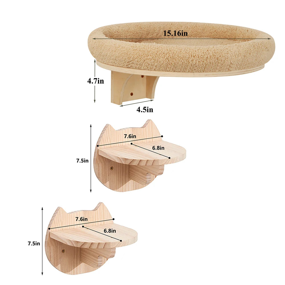 Wall Mounted Climbing Ladder