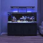 Sturdy 180-200 Gallon Aquarium Stand
