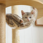 Multi-Level Cat Tree