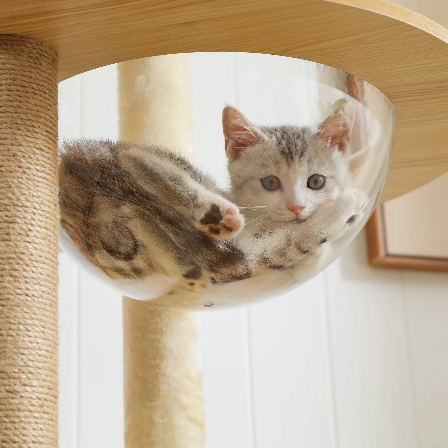 Multi-Level Cat Tree