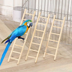 Parrot Toy Climbing Ladder