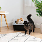 XL Open Top Cat Litter Box