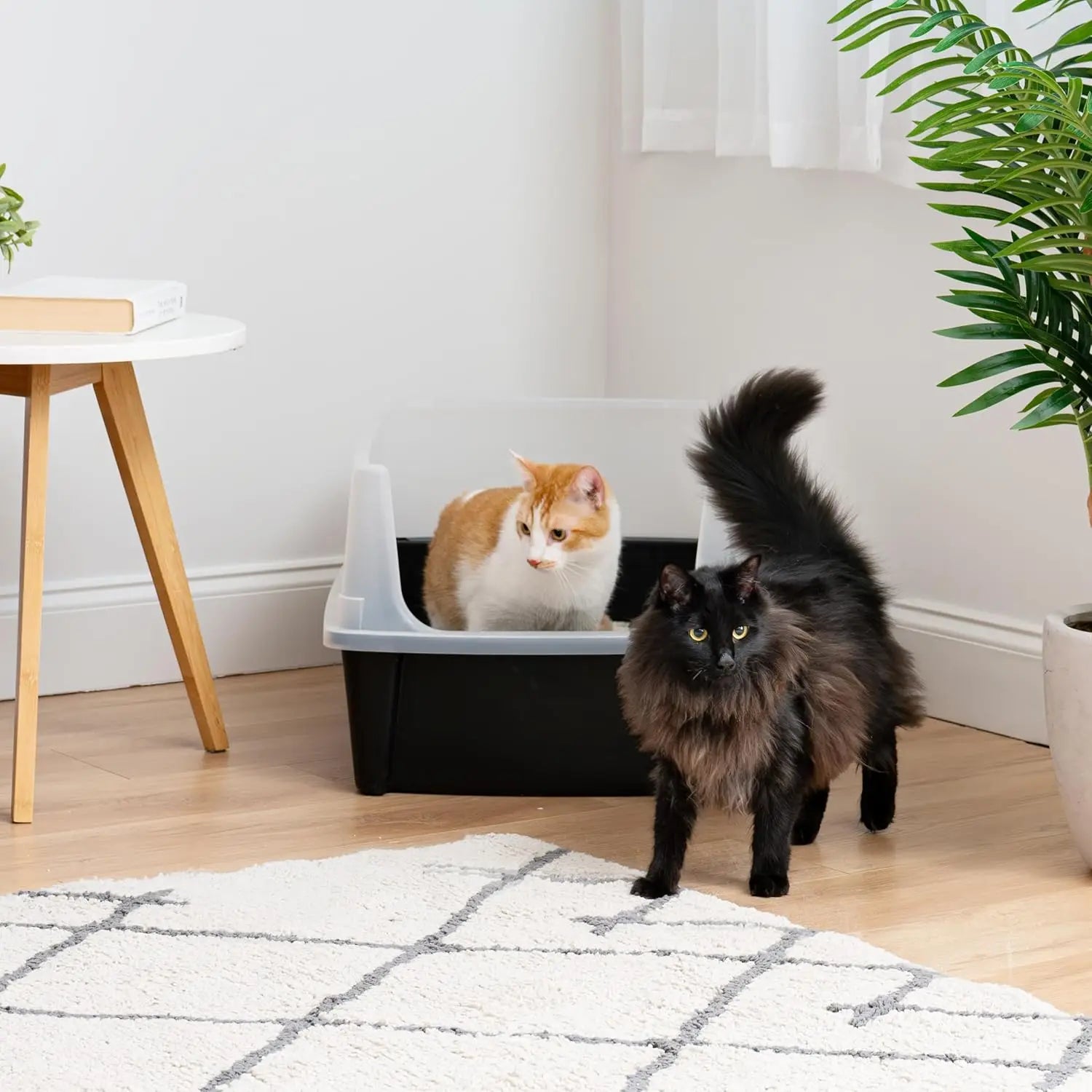 XL Open Top Cat Litter Box