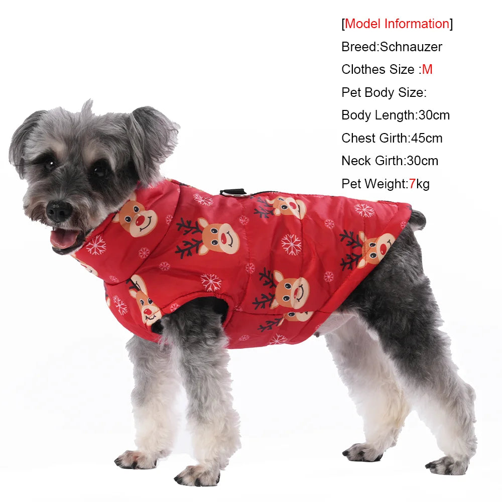Christmas Dog Costume