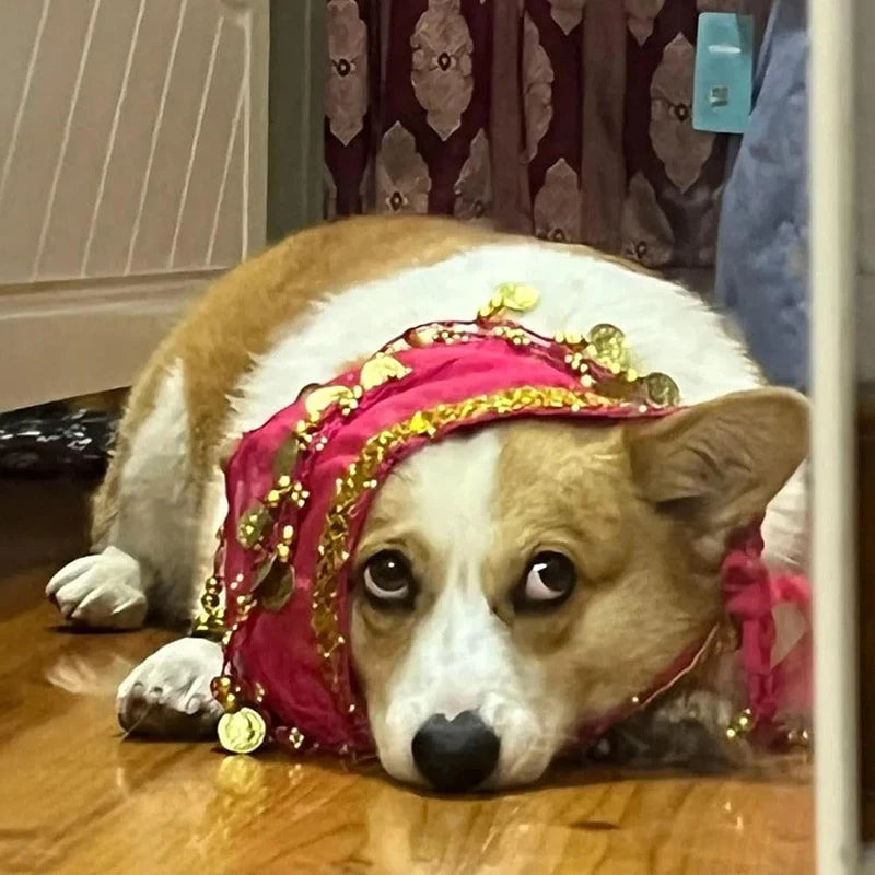 Corgi Belly Dance Belt Skirt