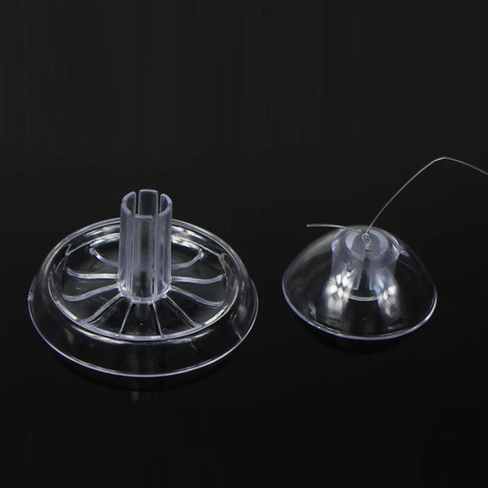 Grass Tank Snail Removal Trapping