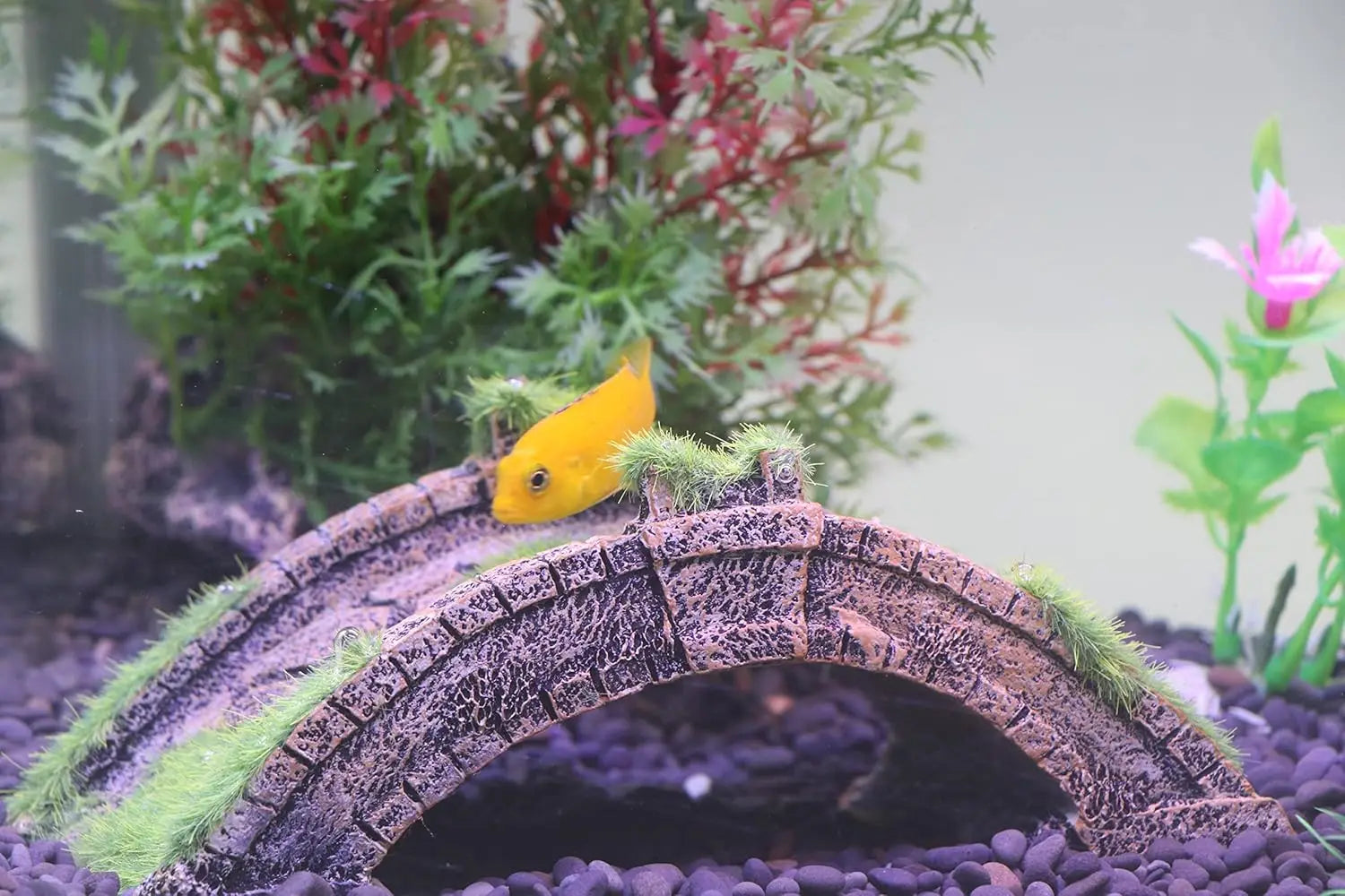 Aquarium Arch Bridge Decor