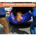 Pet Transport Stretcher