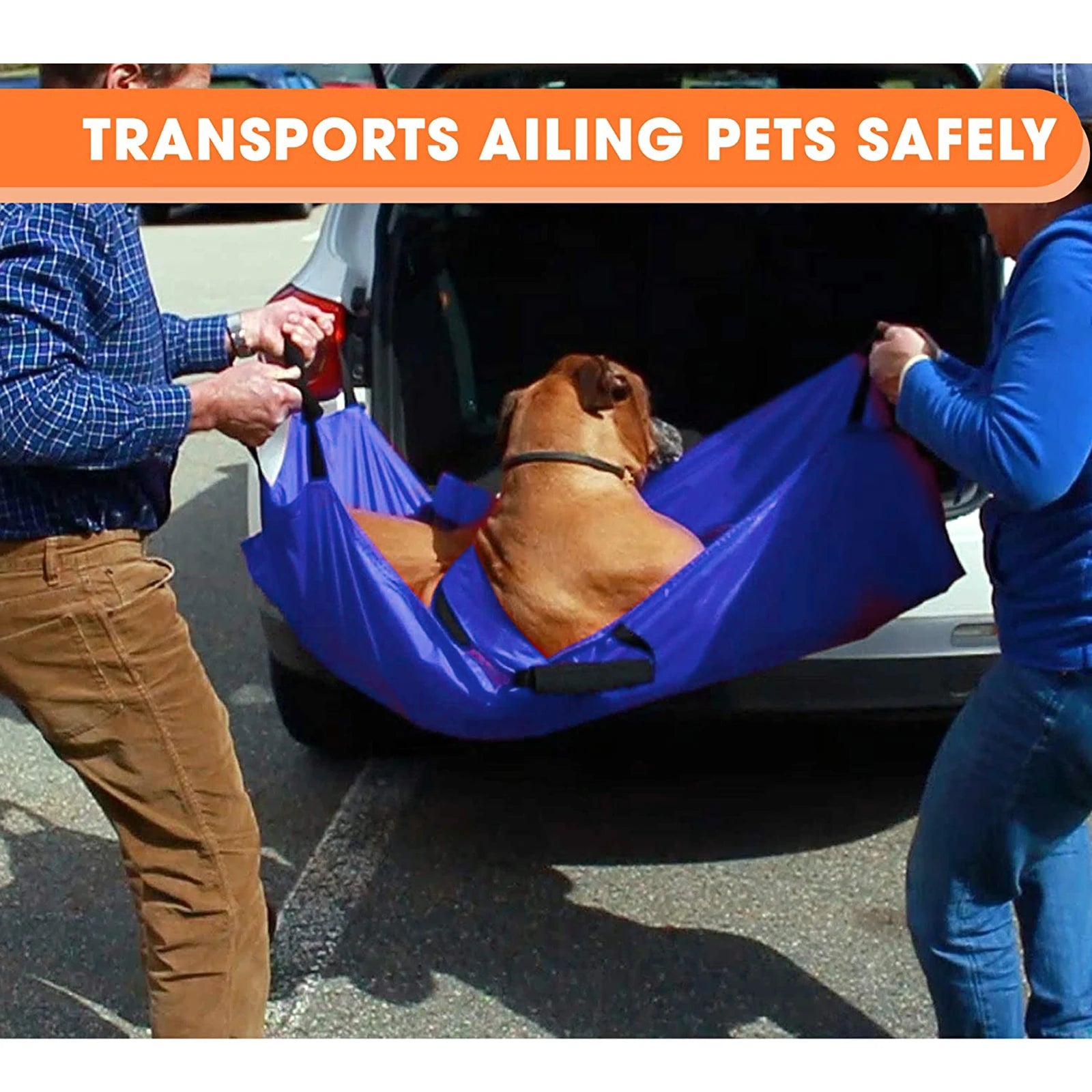 Pet Transport Stretcher