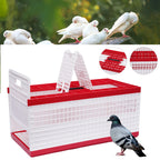 3-Door Pigeon Cage with Handle