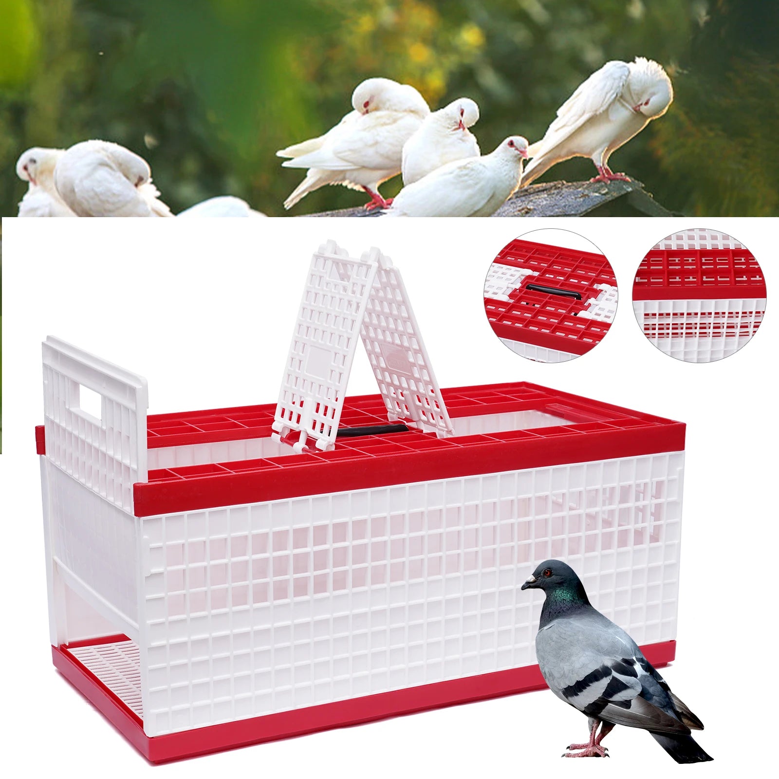 3-Door Pigeon Cage with Handle