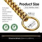 Stainless Large Collar Chain