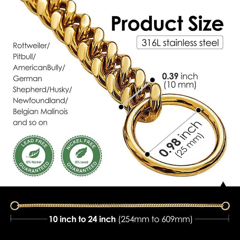 Stainless Large Collar Chain