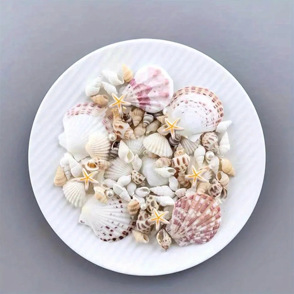 Conch Shell Mix Set Fish Tank