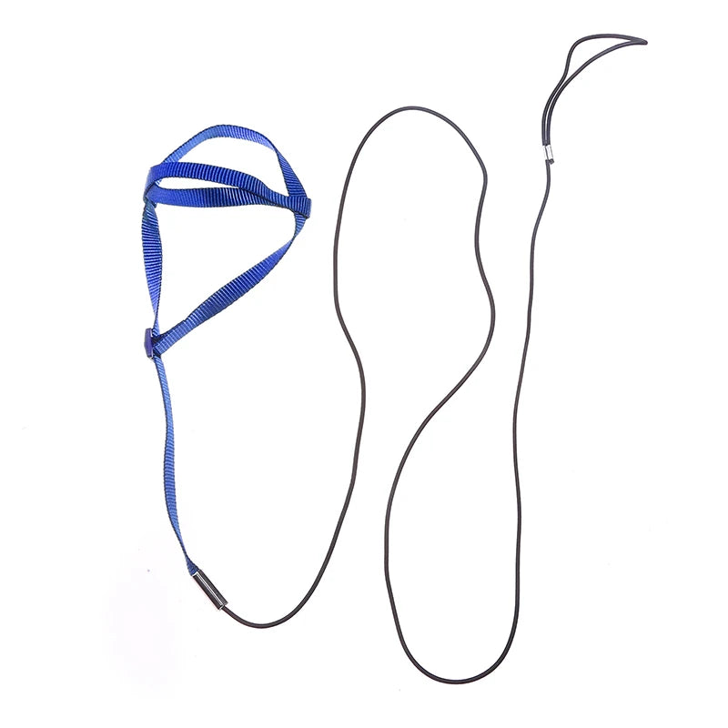 Bird Harness/Leash Activities