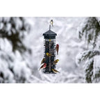 Squirrel-Proof Bird Feeder