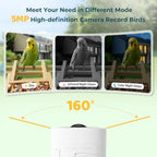 Bird Feeder with Camera