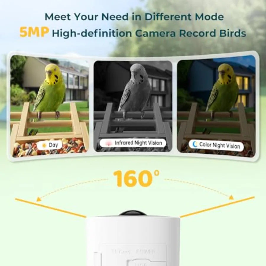 Bird Feeder with Camera