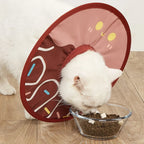 Pet Collar Anti Bite/Lick Surgical Healing Protection