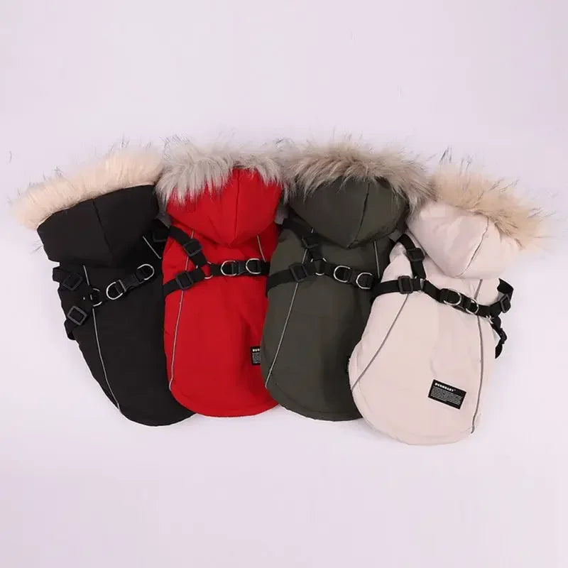 Winter Dog Jacket With Harness