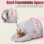 Backpack for Small Animals