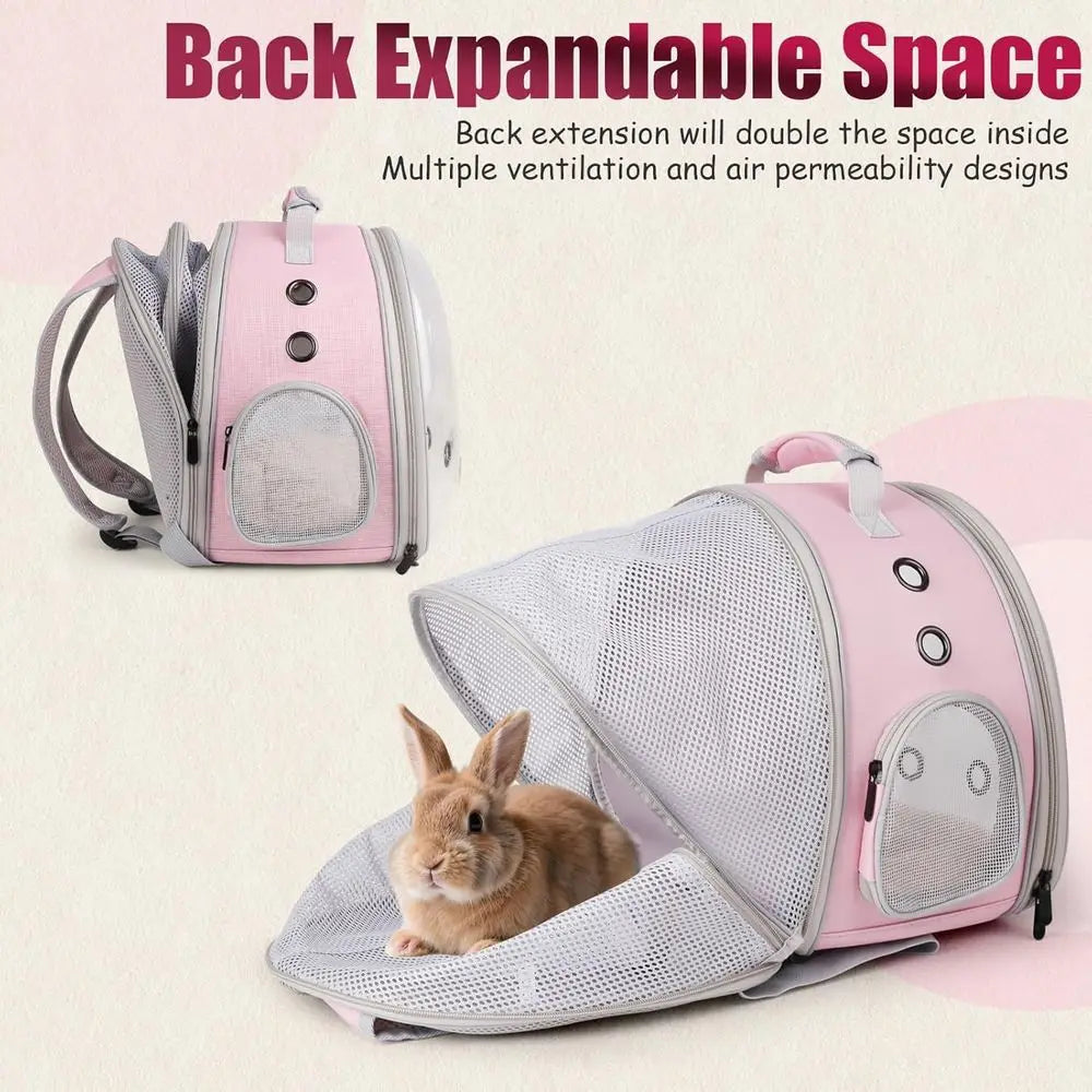 Backpack for Small Animals