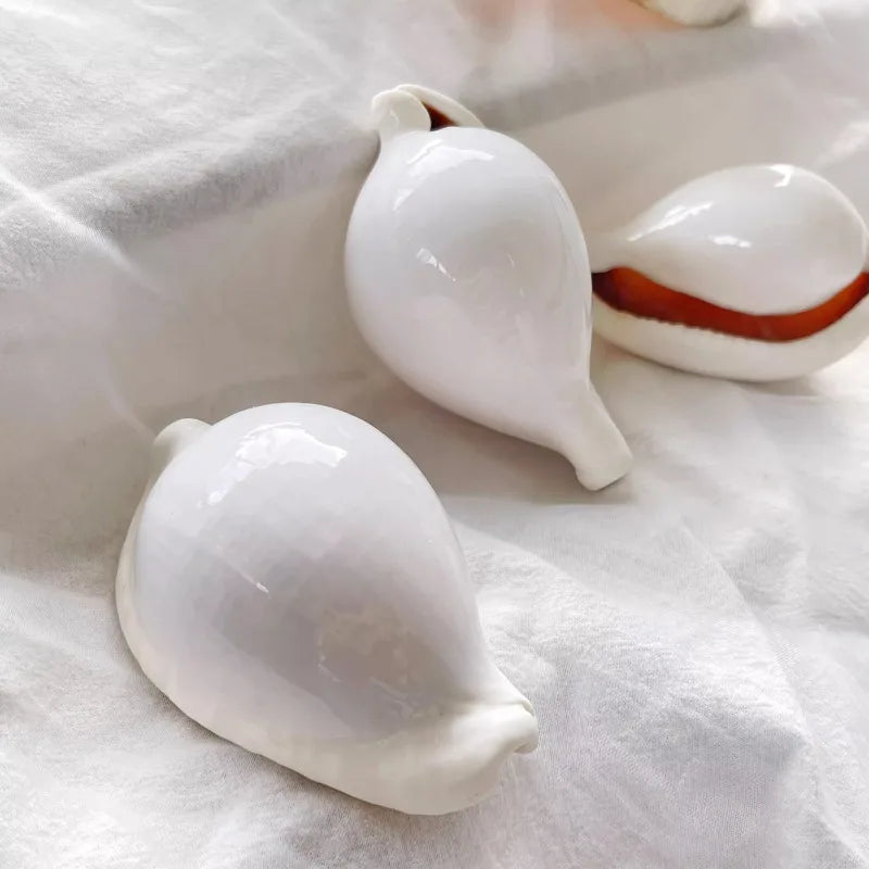 1pc Pure White Conch Shell