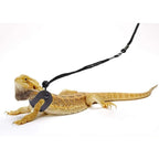 Bearded Dragon Harness/Leash