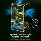 Jumping Spider Enclosure