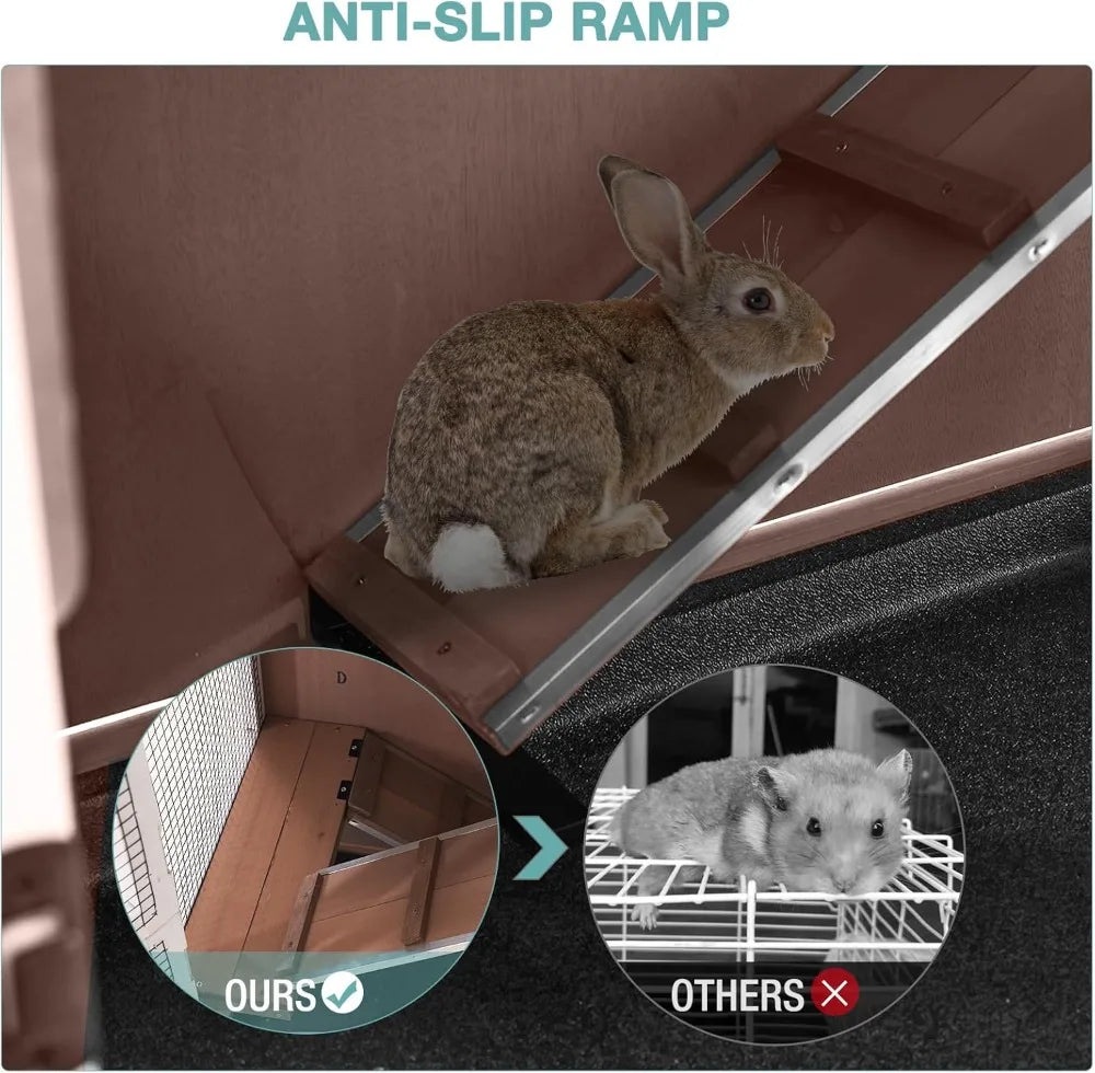 Rabbit Hutch, Guinea Pig/Cage