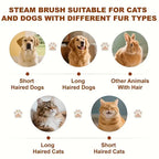 Grooming Hair Brush