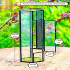 Small Glass Enclosure for Jumping Spiders