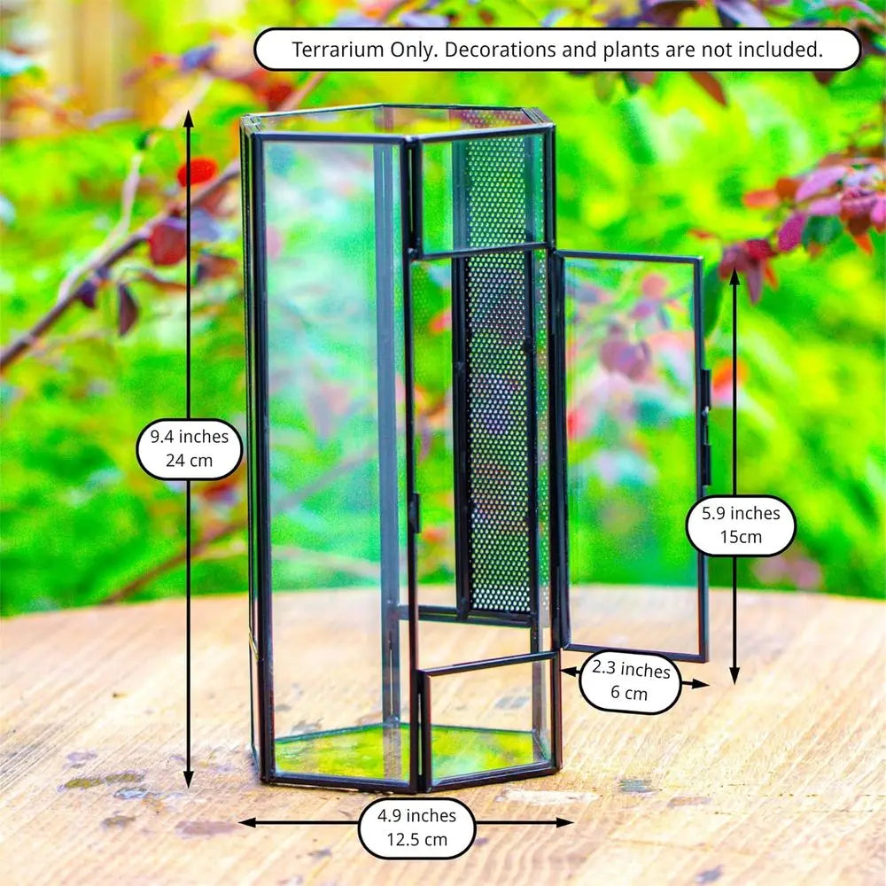 Small Glass Enclosure for Jumping Spiders