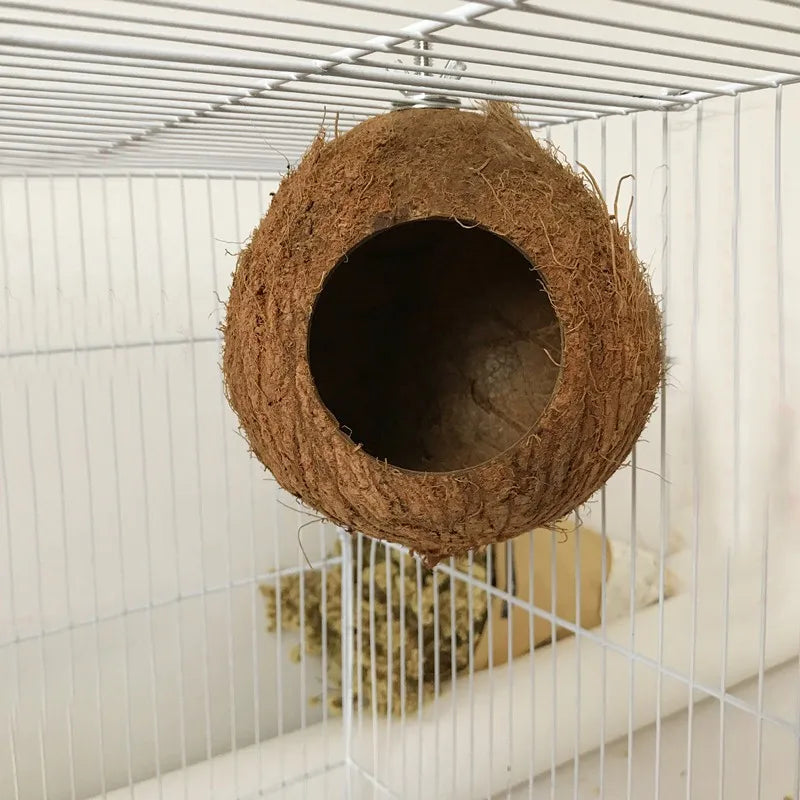 Hideaway Birds/Reptile