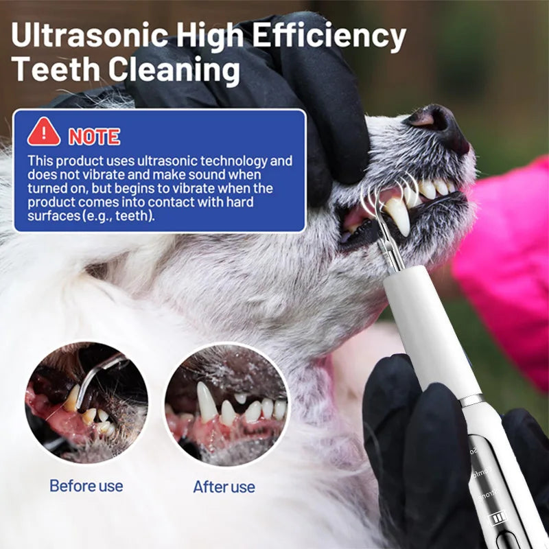 Ultrasonic Toothbrush