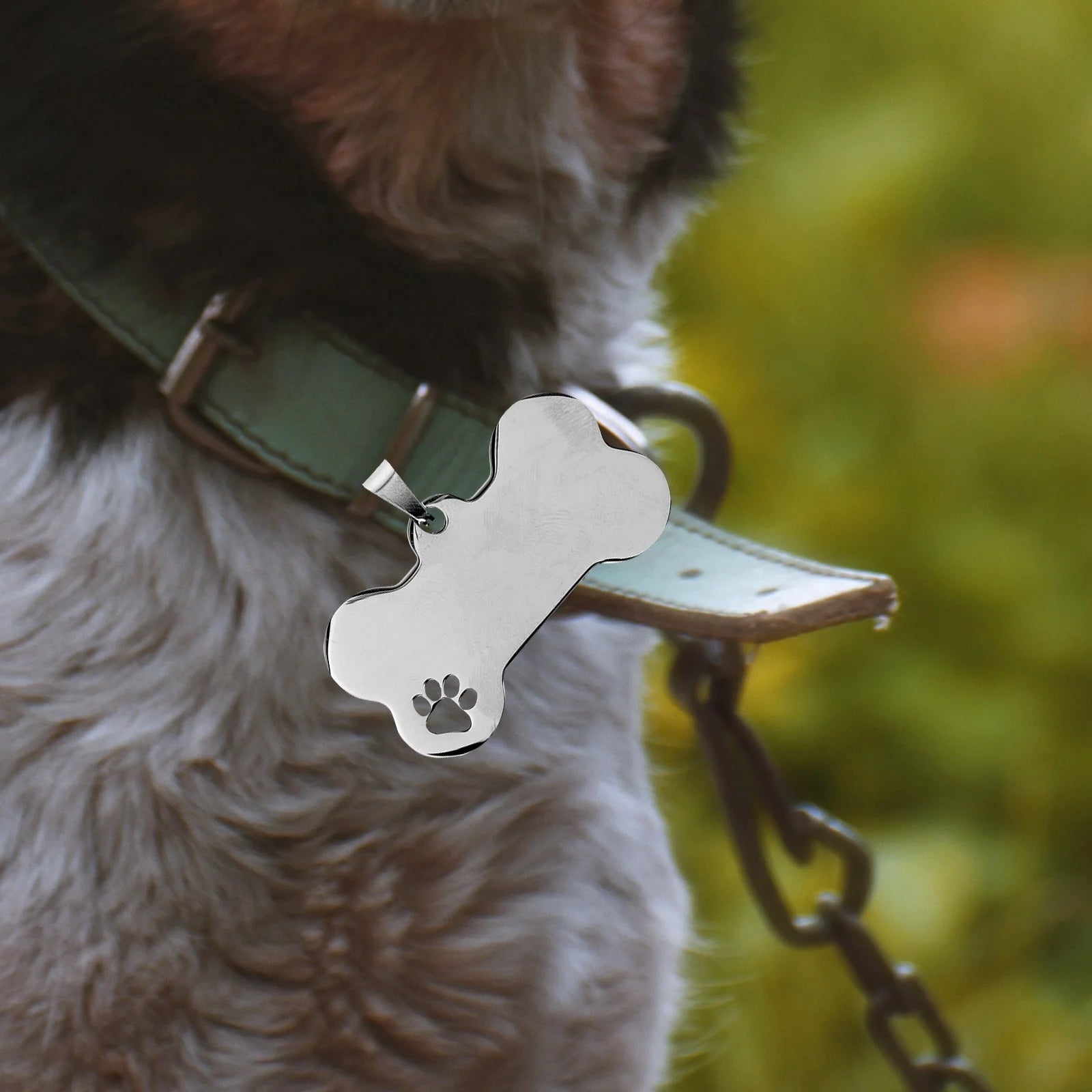 10 Pcs Stainless Steel Dog Tags