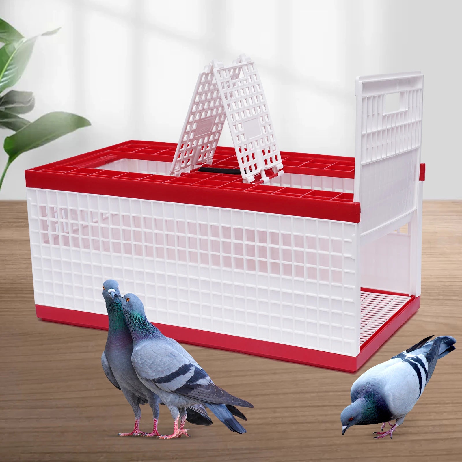 3-Door Pigeon Cage with Handle