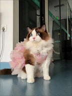 Dog/Cat spring princess Dress