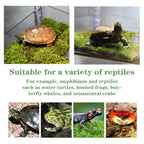 Turtle Resting Basking Platform