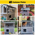 Feral Cat House