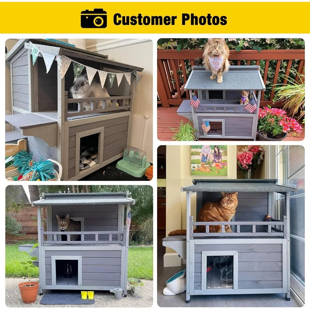 Feral Cat House