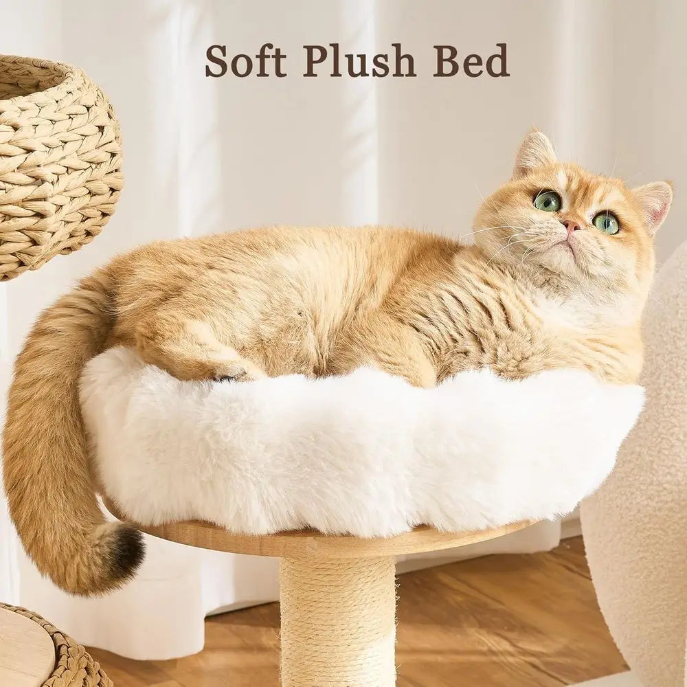 Luxury Solid Wood Cat Tower
