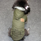 Winter Dog Clothes