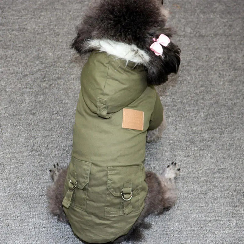Winter Dog Clothes