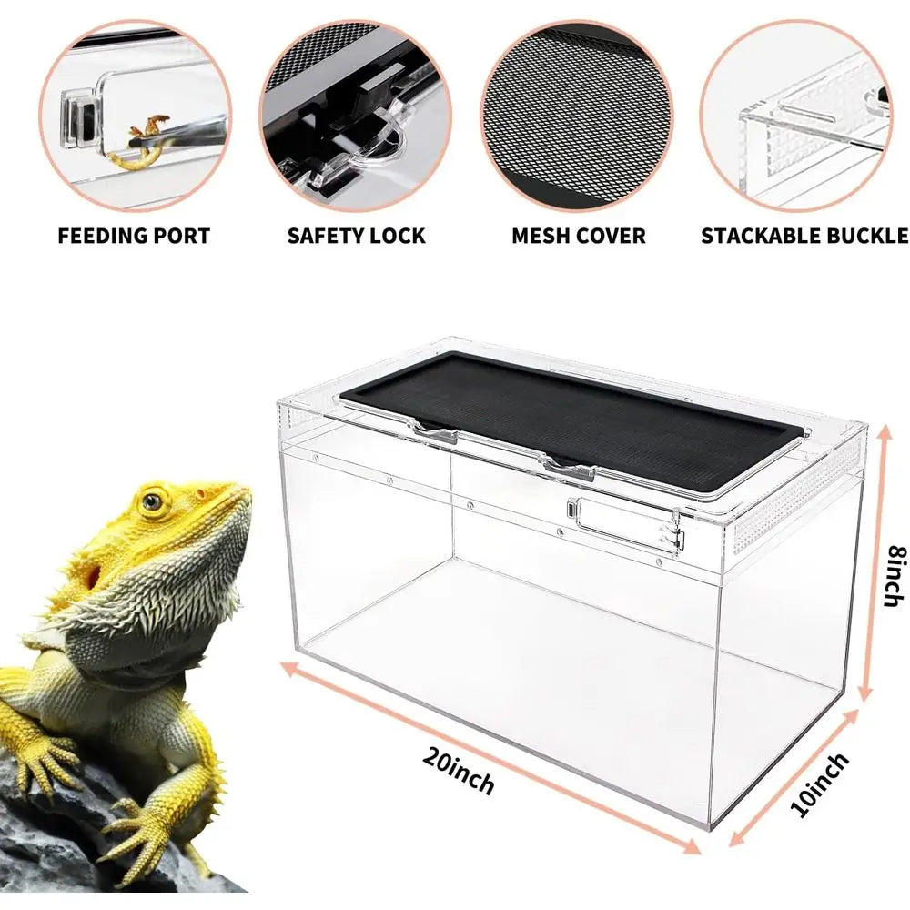 PC Terrarium Set, Reptile, Tarantula, etc.