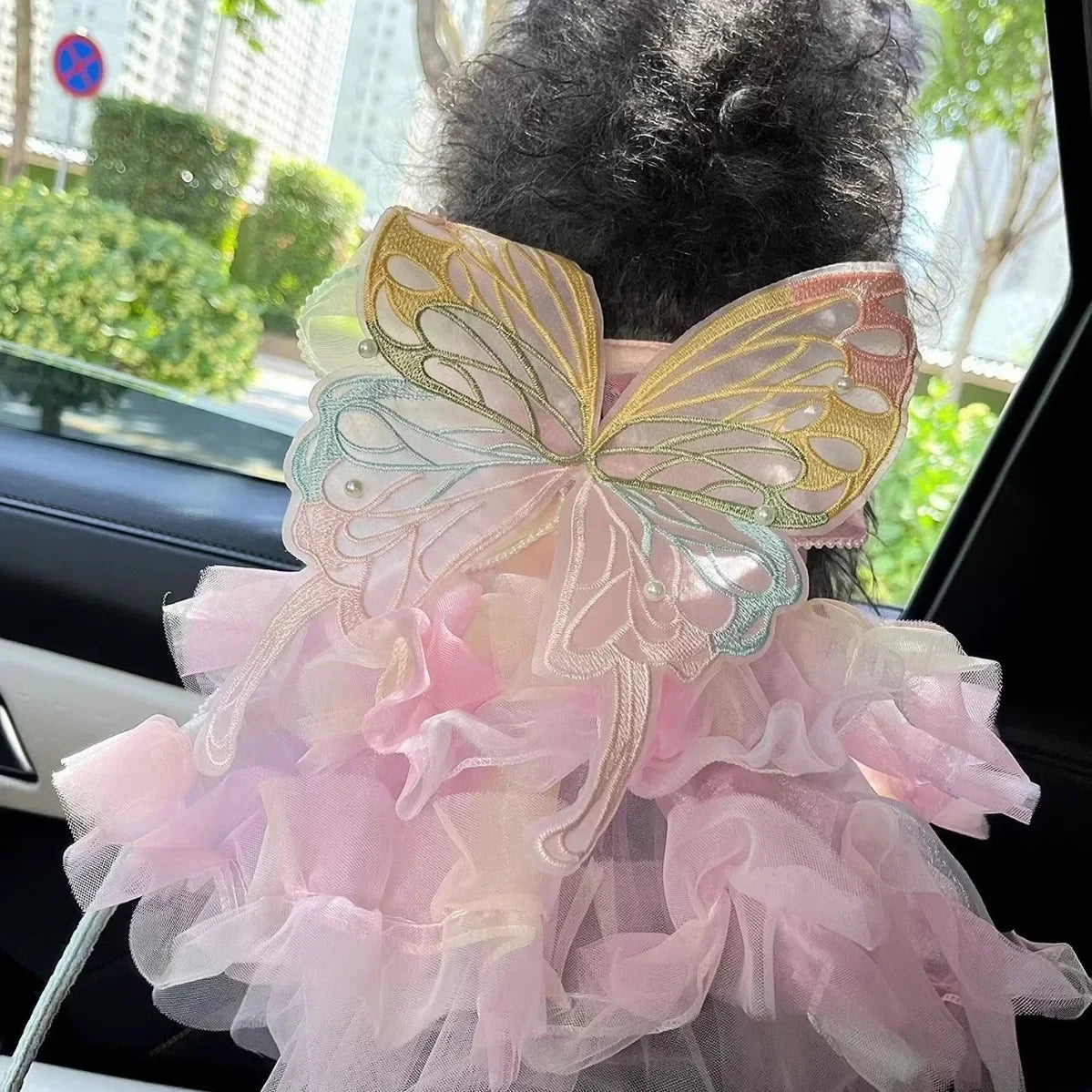 Dog/Cat spring princess Dress