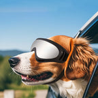 Dog Glasses Adjustable Pet Goggle