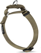 Escape-Proof Martingale Dog Collar