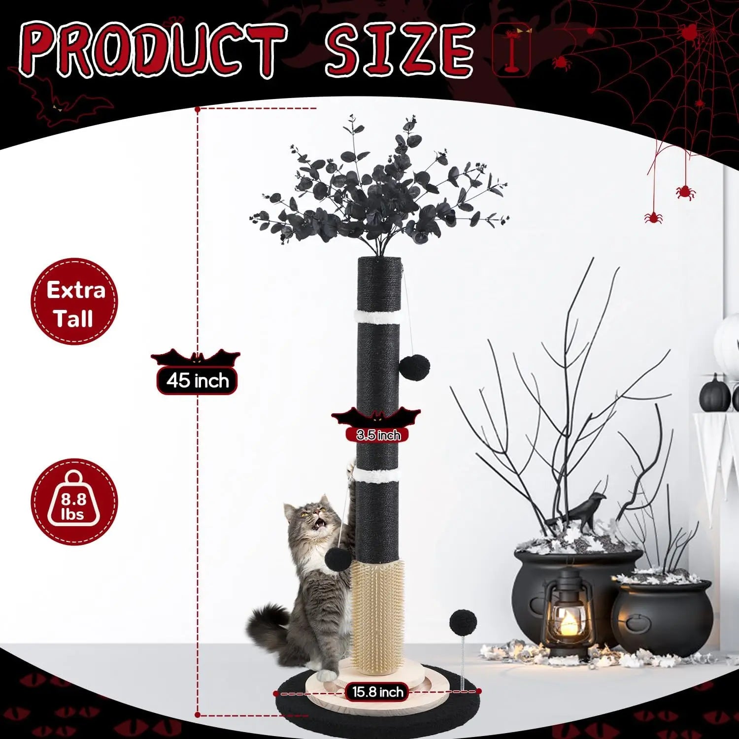 Scratching Posts for Indoor Cats